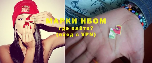 индика Арсеньев