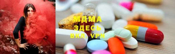 индика Арсеньев