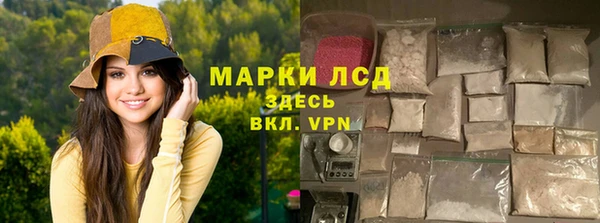 индика Арсеньев